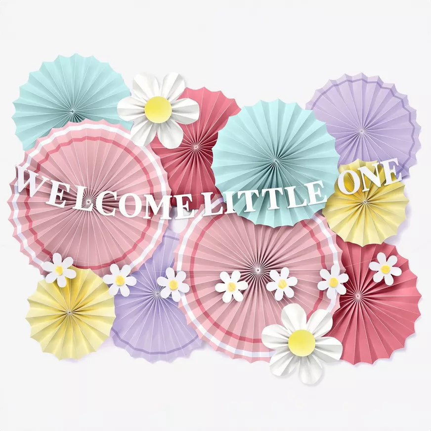 Little Daisy Welcome Little One Baby Shower Paper Fan Room Decorating Kit, 14pc