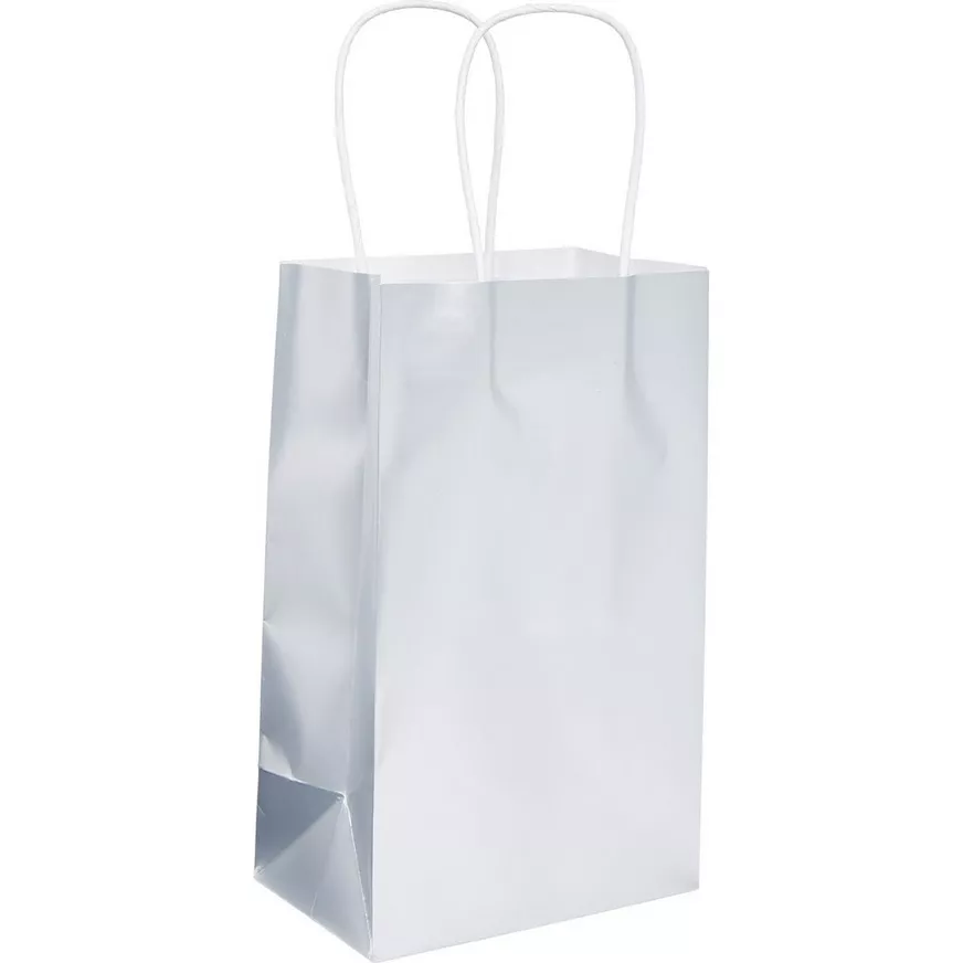 Small Silver Paper Gift Bag, 5.25in x 8.25in
